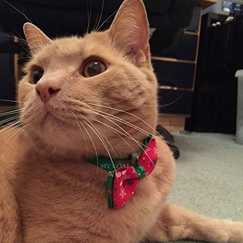 Kungfu Mall 1 accessorio natalizio per cani e