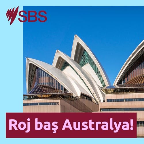 Gelo Australî çima ewqas ji beravê hezdikin?