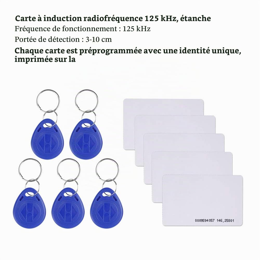 Système d'entrée de Porte avec Clavier de contrôle d'accès étanche, Alimentation DC 12 V, Interrupteur de déverrouillage de Porte, Serrure électrique et Porte-clés RFID 125 kHz