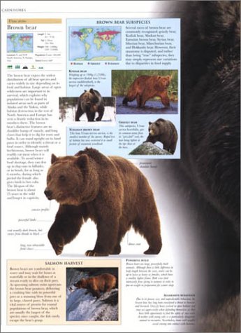 Animal: The Definitive Visual Guide to the World's Wildlife - Image 8