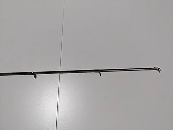 Amazon.co.jp: 限定 メガバス デストロイヤー エボルジオン シャム