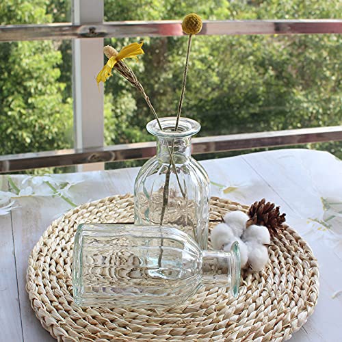 Hanihua 3 Sets Clear Glass Vase For Flowers Small Bud Vase For Decor, Bud Vases In Bulk For Centerpieces, Home Decorative Vase Set Round Vintage Glass Bottles,2.85"X 5.4" #TOP5