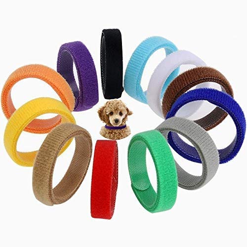 GTIWUNG 12PCS 10 * 350mm Collier Chiot 12 Couleurs Collier ID d'Identification Réglable Ruban...