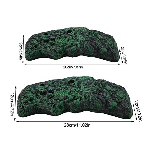 Tartaruga Basking Platform Tartaruga Galleggiante