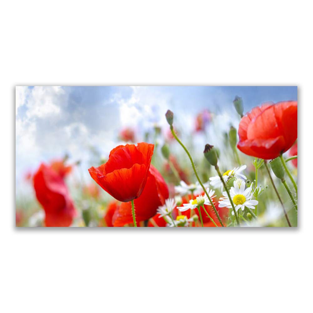 Tableau sur verre 120x60cm décoration murale fleurs coquelicots