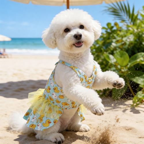 Image of CuteBone One Piece Dog Bikini Swimsuit Dress - Puppy Bathing Suit Costume for Small Dogs - Comfortable & Stylish Pet Clothes for Summer Pool, Beach & Play LTDB12XS