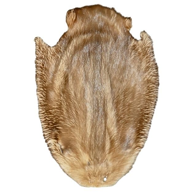 Glacier Wear Northern Beaver Pelt -...