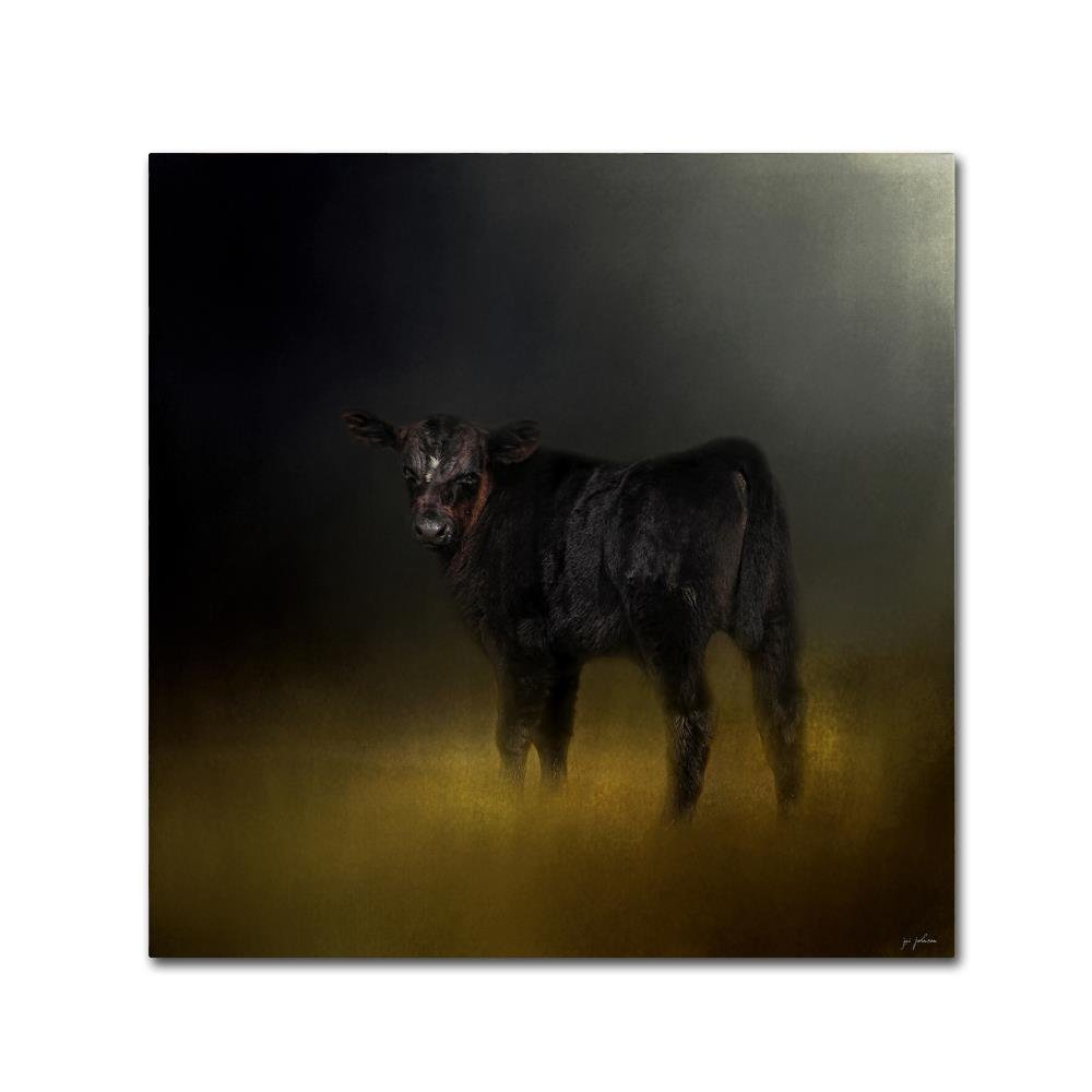 Black Angus Calf In The Moonlight by Jai Johnson, 18x18-Inch Canvas Wall Art