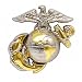 US Marine Corps Emblem, B2, Left Collar Gold Silver USMC Pin