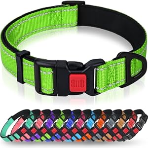 Taglory Reflective Dog Collar with Safety Locking Buckle, Soft Neoprene Padded Dog Collar for Large Dogs, Metal D-Ring, Adjustable Nylon Neck Strap for Daily Walking, Training & Running, Green, L
