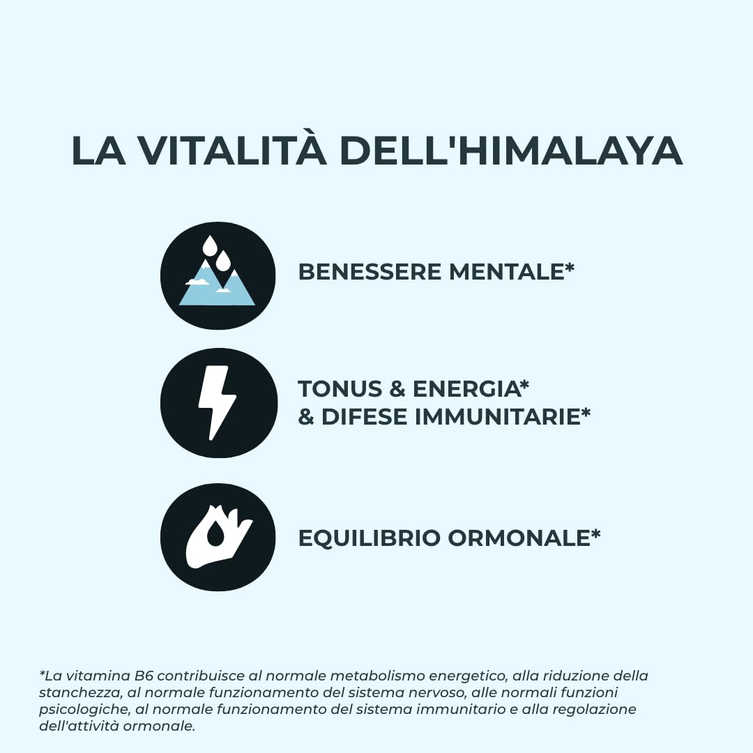 INOLAB Shilajit Puro Originale Himalaya | Titolato al 50% in Acido Fulvico I Integratore per Energia, Equilibrio ormonale, Vitalità maschile e Benessere Mentale I Shilajit Mumijo Capsule Vegan