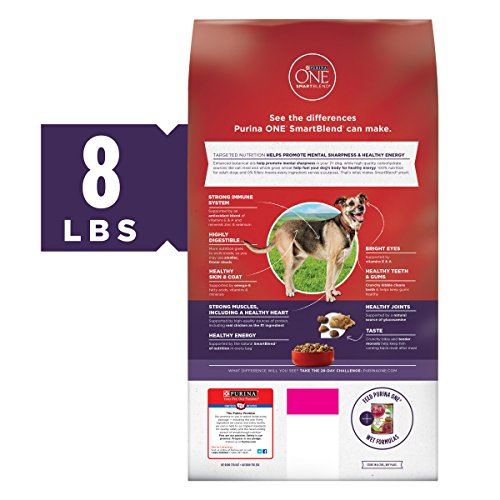 vibrant maturity dog food