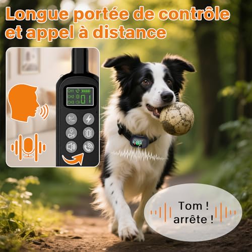Conseils d'utilisation pour collier dressage chien