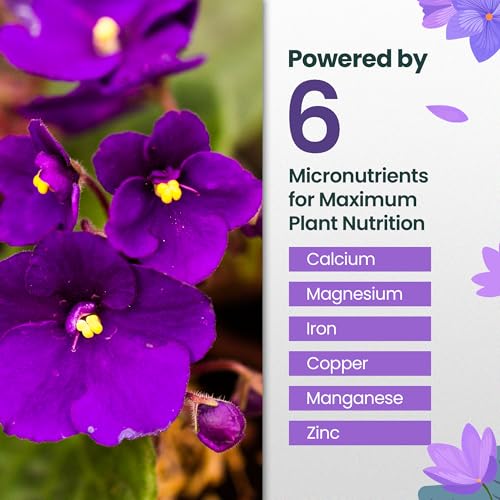 Fertilizante líquido 16oz para Violetas Africanas miniatura 4