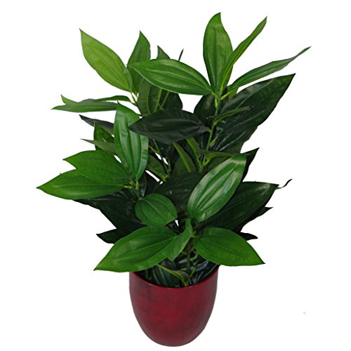 Leaf Feuille Artificielle à Feuilles Persistantes 70 cm, Pot en Plastique Noir