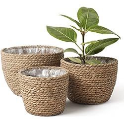Maceteros Medianos La Jolíe Muse Cesta de Plantas de Hierba Marina en el Interior y en el Exterior, Cubierta de Macetas, Contenedores de Plantas, Natural (3-Pack), 26cm+22cm+16cm