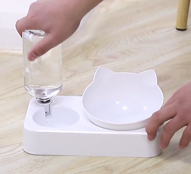 Aqueous Plastic Cat Bowls Dogs Bowls Cat Food Bowls Elevated Cat Bowls Raised Cat Food Bowl Water Bowl for Cats and… - Image 8