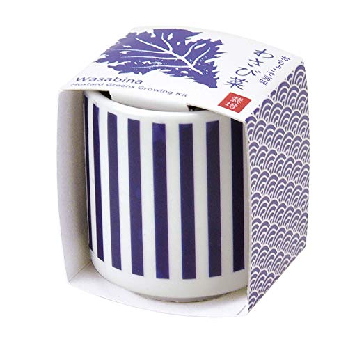 農業資材 ガーデニング用品 わさび菜の人気商品 通販 価格比較 価格 Com 農業資材 ガーデニング用品 わさび菜の人気商品 通販 価格比較 価格 Com