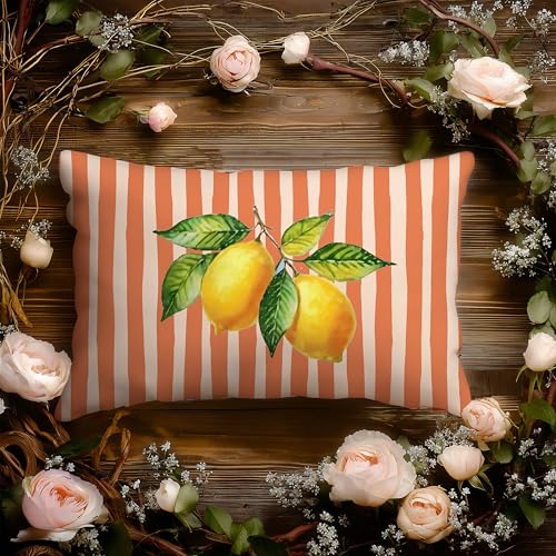 Image of Terracotta and Yellow Summer Italian Mediterranean Amalfi Coast Lemon Pillow Cover Decor 12x20,Italian Striped Decorative Throw Pillow Cover Decor for Couch Double-Sided