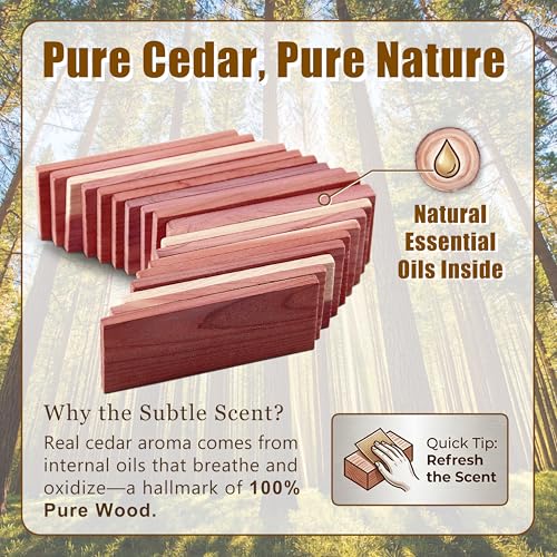 Image of Cedar Space Cedar Blocks for Clothes Storage 16 Pcs, 2 Value Packs 100% Aromatic Red Ceder Blocks, Cedar Planks, Cedar Accessories for Closets Storage
