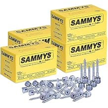 Everflow Sammys 8009925-100 GST 25-380 3/8 Inch Screw Vertical Threaded Rod Anchor Designed for Wood, Easy Use, No Pre-Drilling Required, Steel Zinc Finish, 3/8 x 2-1/2 Inch Screw Length Pack of 100