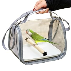 Bird Carrier Bag, Clear Cockatiel Cage, 10.24 inch Parakeet Transport Carrier, Breathable Mesh Design, Includes Perch, Perfect for Travel and Vet Visiits