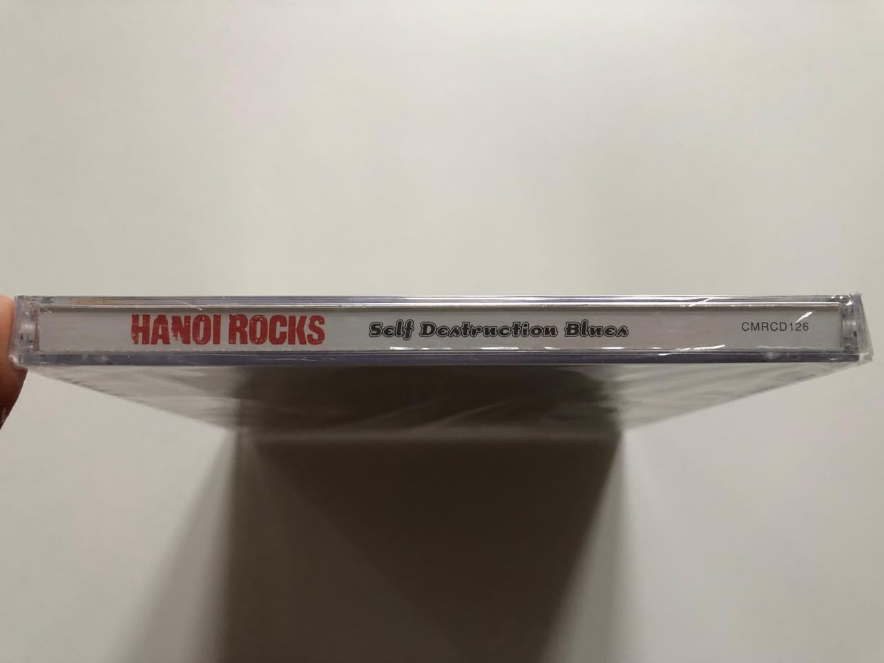 Self Destruction Blues