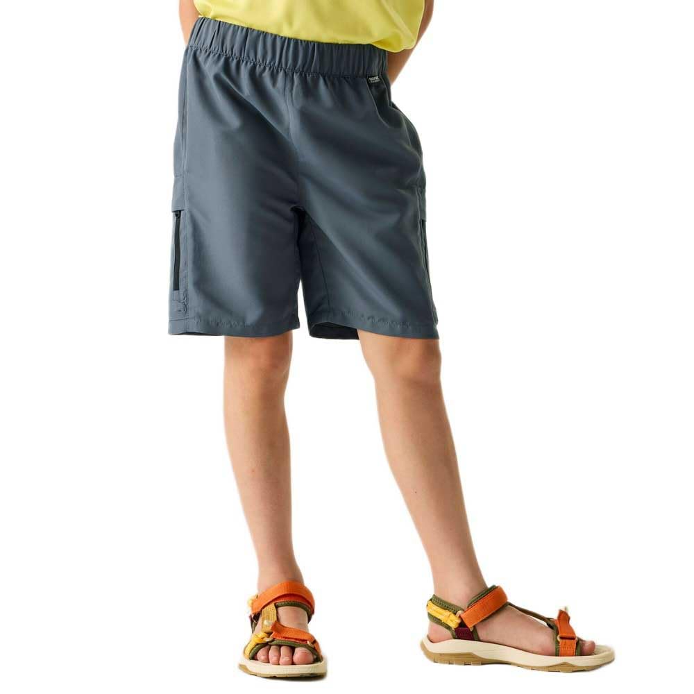 Regatta Boys Sorcer Iii Shorts - Grey
