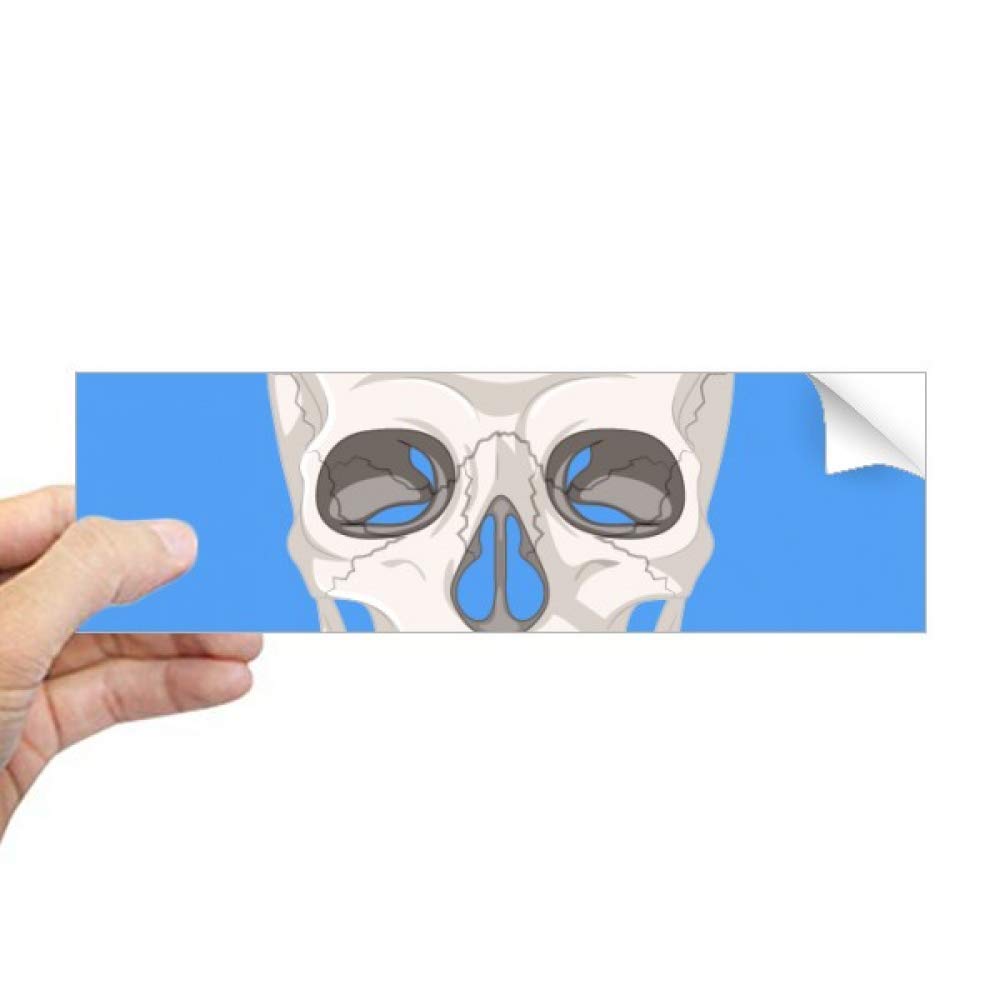 Autocollant rectangulaire pour fenêtre pour personnaliser un vitrage tête de mort