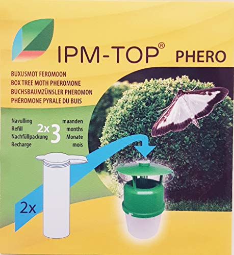 Agrinova Xentari® Raupenfrei Box Tree Caterpillar Tratamiento | Bacillus Thuringiensis | Mezcla de insecticida biológico (25 g)