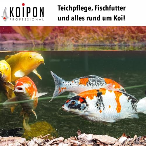 Pon-Vitamin 1kg, Vitaminkur mit wertvollen Mineralien für gesunde Fische im Fischteich und japanische Koi im Gartenteich – Bild 6