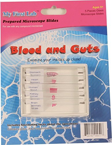 My First Lab Microscope Prepared Slide Set - Blood & Guts (5 Slides)