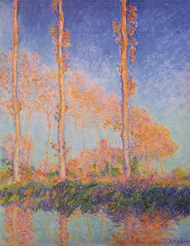 Monet posters et art pour decoration chambre afin d'habiller un mur vide avec elegance