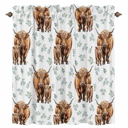 nCh JtFJ[e ʉ F ΂̃V_ A J[e  Ց UVJbg ՔM ډBɂ bh|Pbg 􂦂 Lb`  g q iX ʏ X܏ y 1 100x110cm