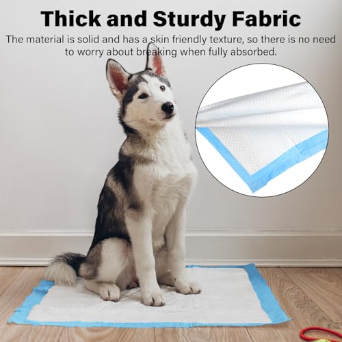 Image of Disposable Pet Pads for Dogs Training, Protection Underpads with Leak Proof and Super Absorbent for Puppy Pee Potty Training, Baby & Adults Bed Pads for Incontinence -Blue(17 inch x 13 inch, 50 Count)