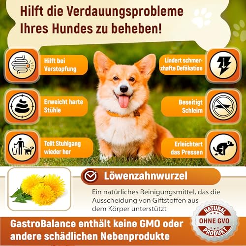 GastroBalance linderung verstopfung beim Hund – 60 weichen kausnacks abführmittel für Hunde 100% natürliche Wirkstoffe (Deutsch)