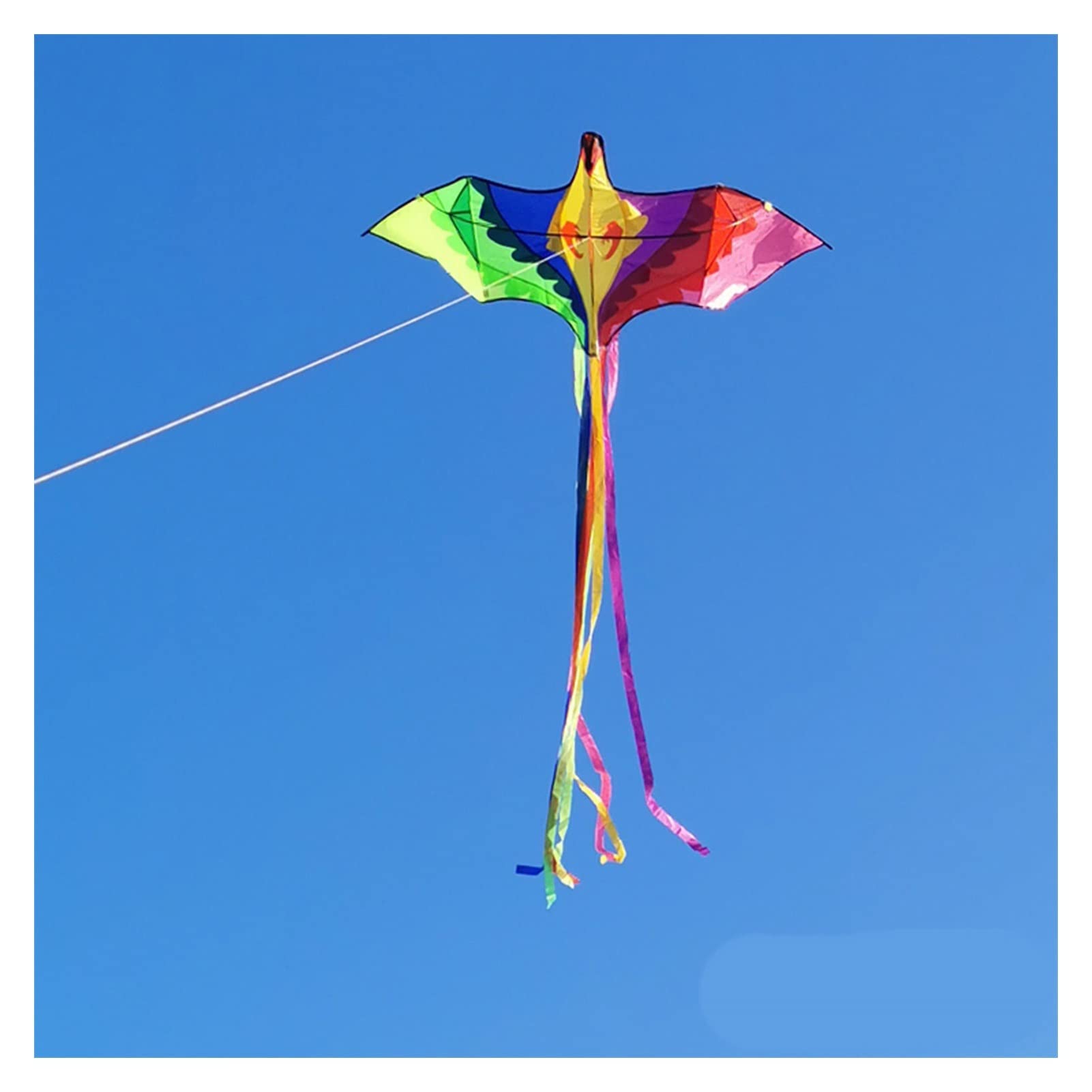 Cometa para niños, cometa colorida de Phoenix, cometa grande para niños, cometa para adultos, fácil de volar, cometa de cola larga, cometa colorida