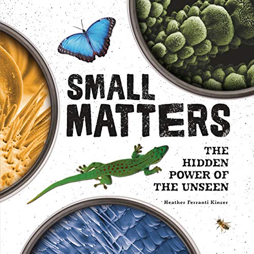 Small Matters: The Hidden Power of the Unseen (English Edition)