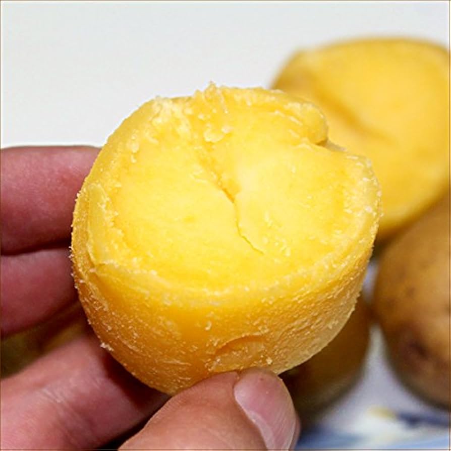 いんかのめざめMLサイズ20キロ 楽天市場】北海道産 新じゃがいも インカのめざめ 20kg 前後