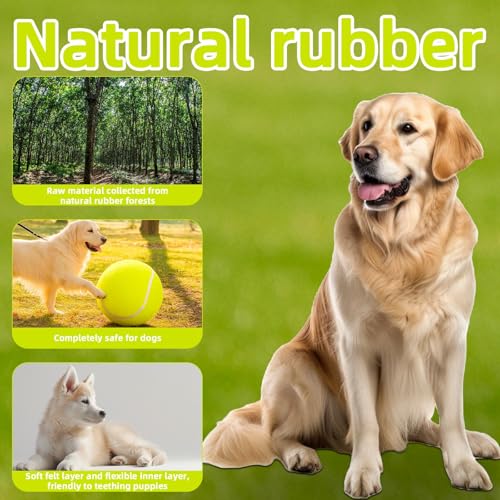 24cm Riesen Hüteball für Hunde, Extra Großer Tennisball für Hunde mit Pumpe und 2 Nadeln Spaß Apportier und Trainingsball for Haustiere Outdoor Spielzeug