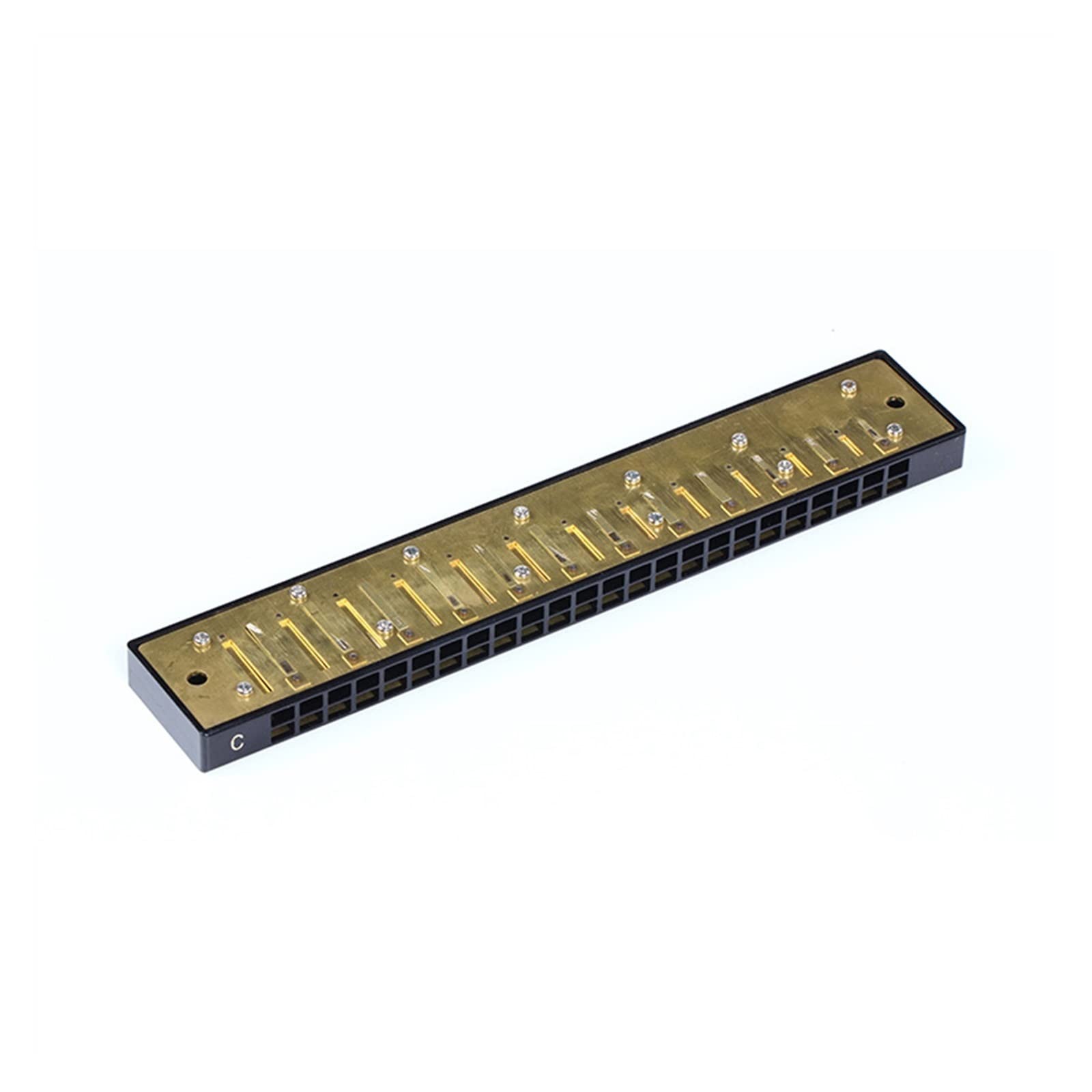 Harmonijka 24-dołkowa Polifonia Profesjonalna Wydajność Nauczanie Początkujących Studentów Dorosłych Gra C Harmonijka Harmonijka Dla Początkujących (Color : 01)