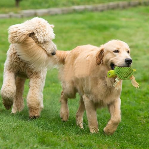 TONYFY Niedliche Meerestieren Hundespielzeuge mit Quietscher, Interaktive Plüschspielzeuge aus Baumwolle mit Knoten und Knisterpapier – für Welpen, kleine und mittelgroße Hunde(Grüne Schildkröte)