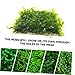 Happyyami 12pcs Aquatic Mesh Stainless Steel Moss Net Wear-Resistant Wire Mesh Fish Aquarium Accessories Floating Moss Mesh Decorative Moss Aquatic Moss Net Moss Wall Net Seaweed Replaceable