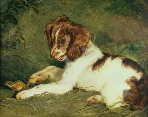 Lienzo de pintura famosa Edwin Landseer versión graffiti para renovar paredes vacías