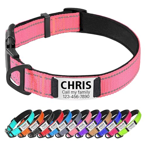 TagME Hundehalsband personalisiert, Reflektierendes gepolstertes Nylon Hundehalsband für kleine Hunde mit Namen und Telefonnummer