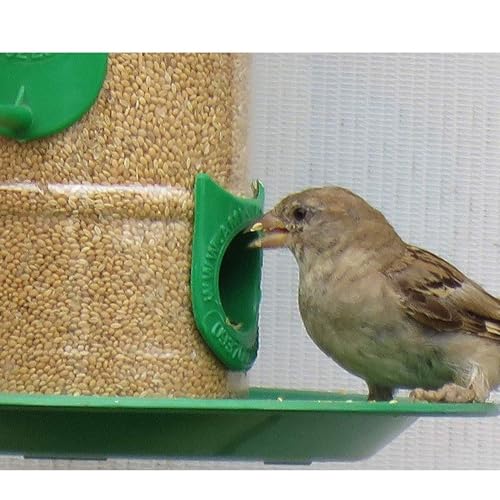 Image of Hanging Bird Feeder for Balcony & Garden 900ml Large Capacity Outdoor Food Feeder for Birds