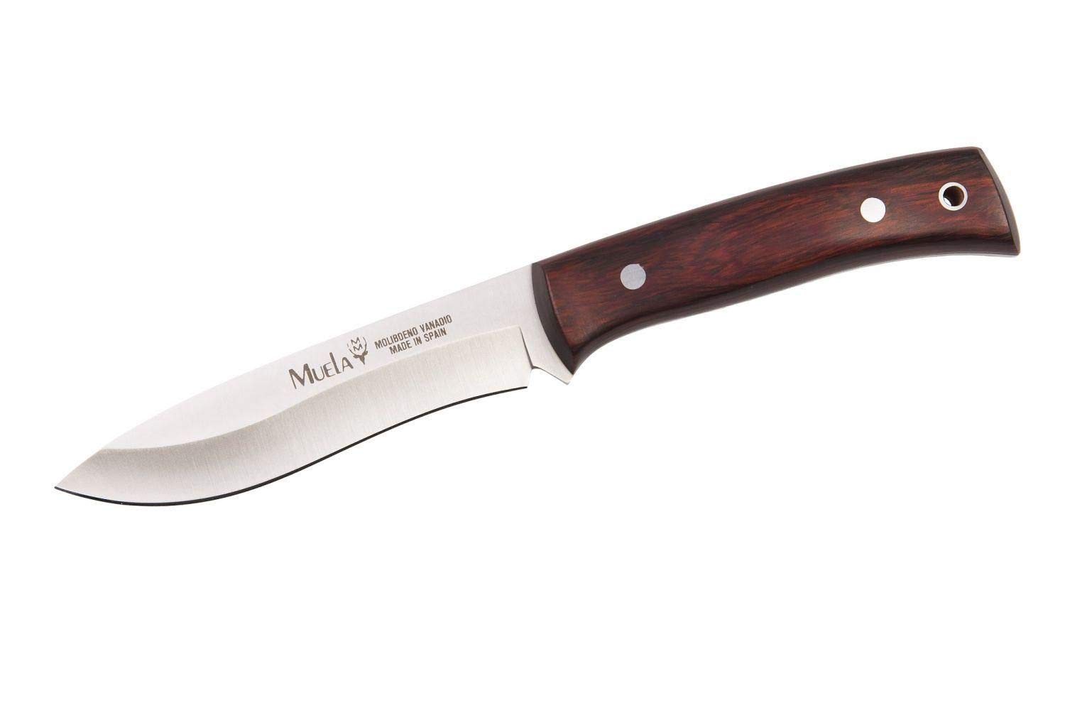 Muela cuchillo de caza COMF-11R con hoja de acero inoxidable ACX-380 de 11 cm y empuñadura de madera roja de 11 cm para Caza, Pesca, Supervivencia y Bushcraft + Portabotellas de regalo