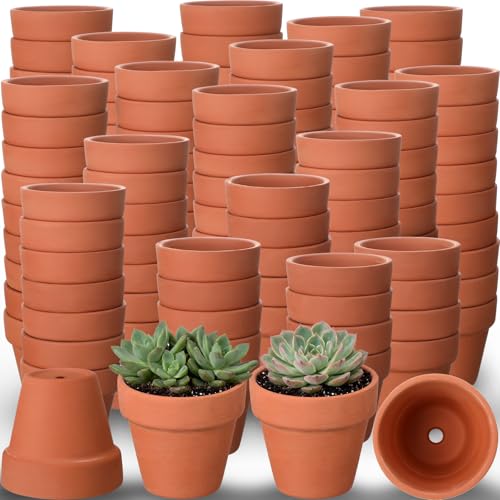 Nuogo 200 Pcs Mini 2" Terracotta Pot Bulk Small Plant Pots, Tiny Clay Pots Nursery Flower with Drainage Holes for Indoor Outdoor Succulent Cactus Plants Crafts Wedding Decorations by Nuogo - Used condition - Image 8