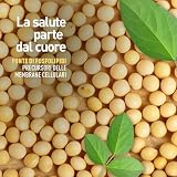 Longlife B084VPJSR9 lato 2