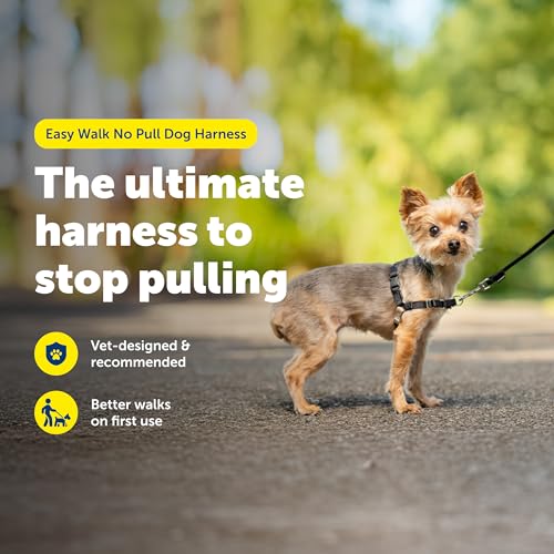 PetSafe Easy Walk No-Pull Dog Harness - Ultimate Harness to Help Stop Pulling - Pull-Free Walks - Take Control & Teach Better Leash Manners - Patented Martingale Loop Design - Black, Petite by PetSafe - Image 2